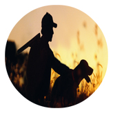 DAROUND 311 Gone Hunting (Dog)